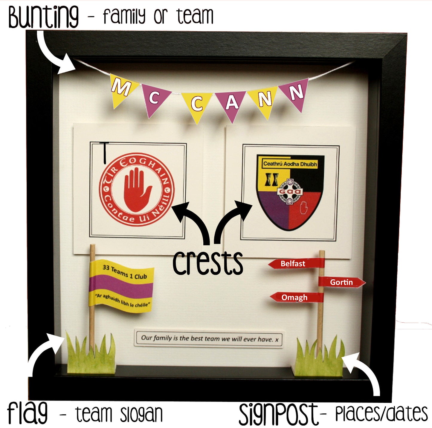 Double sports team Crest